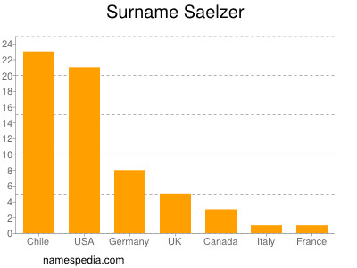 Surname Saelzer
