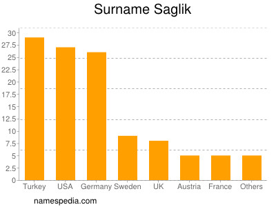 Surname Saglik