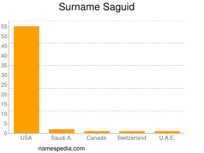 Surname Saguid