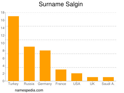 Surname Salgin