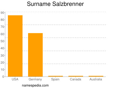 Surname Salzbrenner