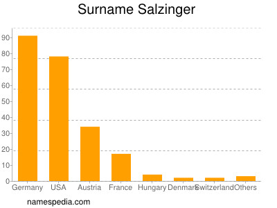 Surname Salzinger