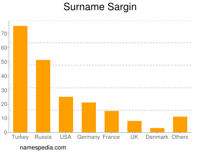 Surname Sargin