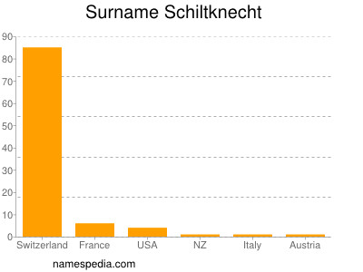 Surname Schiltknecht