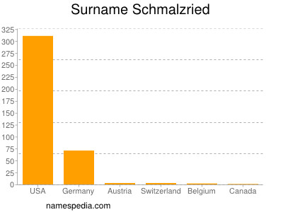 Surname Schmalzried