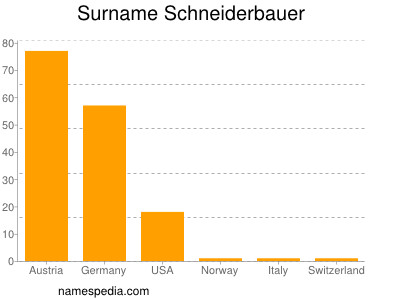 Surname Schneiderbauer