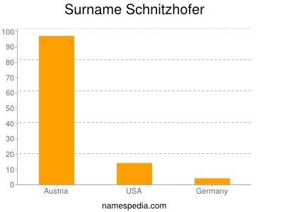 Surname Schnitzhofer