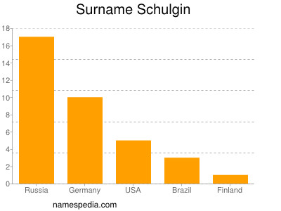 Surname Schulgin