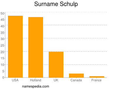 Surname Schulp