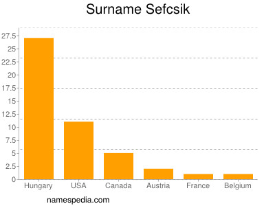 Surname Sefcsik