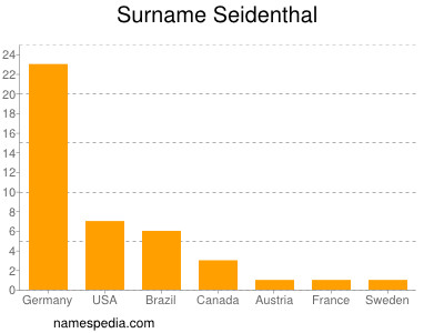 Surname Seidenthal