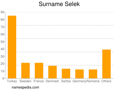 Surname Selek