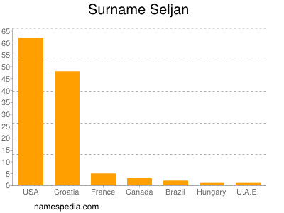 Surname Seljan