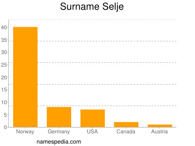 Surname Selje