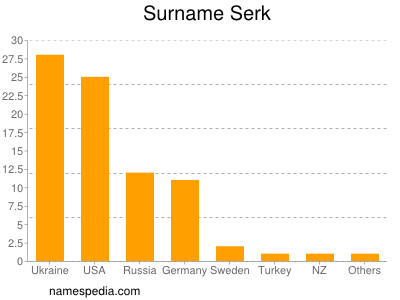 Surname Serk