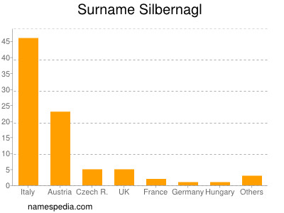 Surname Silbernagl