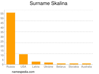 Surname Skalina