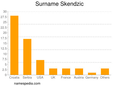 Surname Skendzic