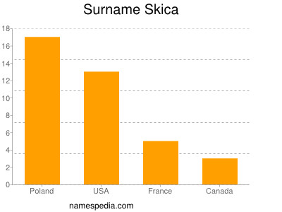 Surname Skica