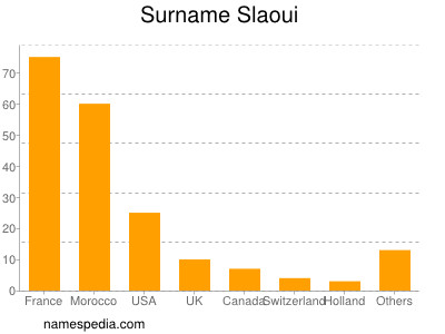 Surname Slaoui