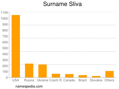 Surname Sliva