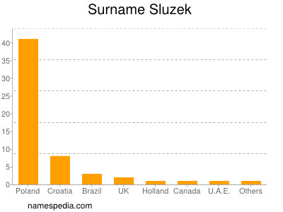 Surname Sluzek