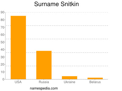 Surname Snitkin