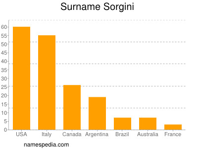 Surname Sorgini