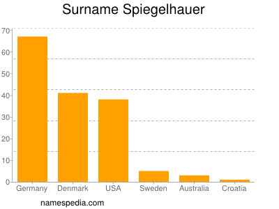 Surname Spiegelhauer