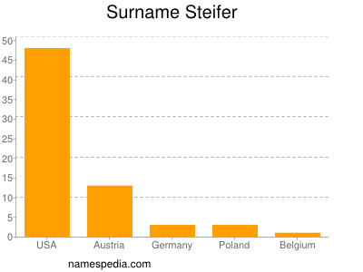 Surname Steifer
