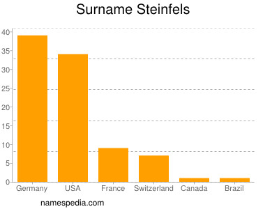Surname Steinfels