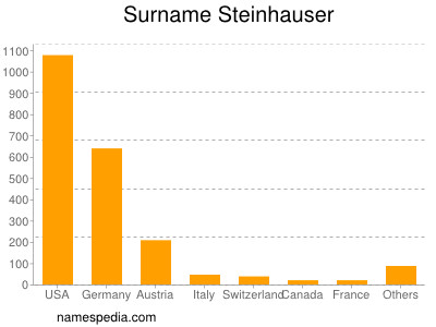 Surname Steinhauser