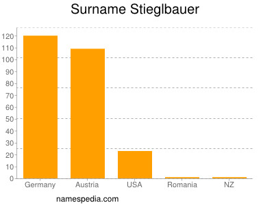 Surname Stieglbauer
