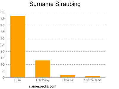 Surname Straubing