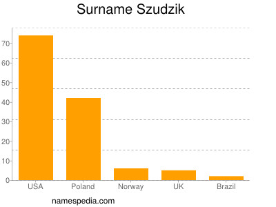 Surname Szudzik