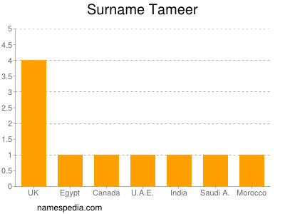 Surname Tameer