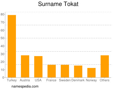 Surname Tokat