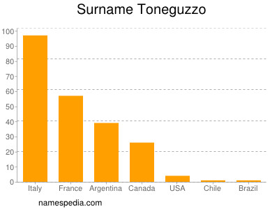 Surname Toneguzzo
