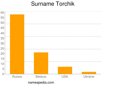 Surname Torchik