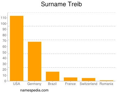 Surname Treib