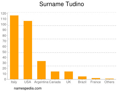 Surname Tudino