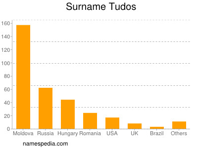 Surname Tudos