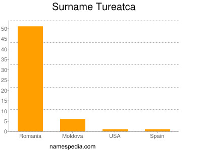 Surname Tureatca