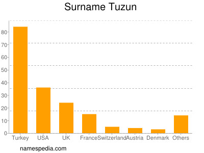 Surname Tuzun