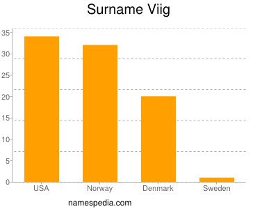 Surname Viig