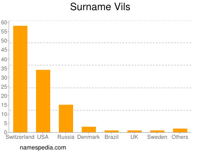 Surname Vils