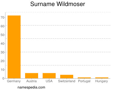 Surname Wildmoser