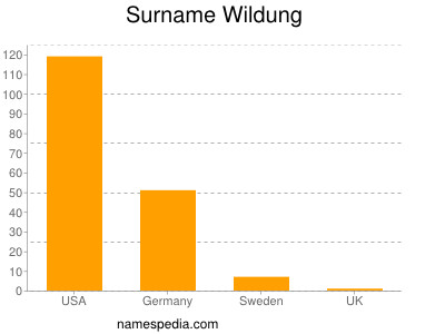 Surname Wildung