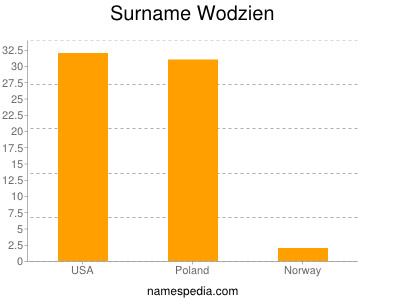 Surname Wodzien