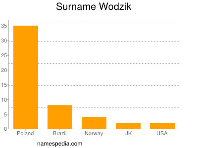 Surname Wodzik
